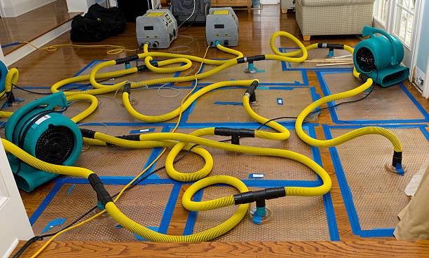 Professional Water Damage Repair technician working in Helen, WV